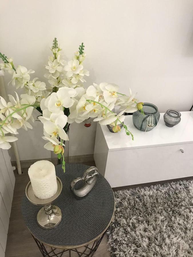 Studio Angel Stan Na Dan Novi Sad Luaran gambar