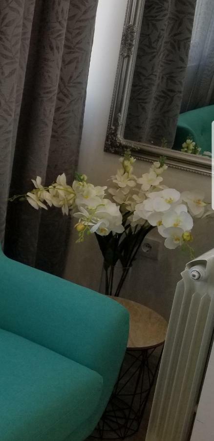 Studio Angel Stan Na Dan Novi Sad Luaran gambar